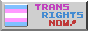 A button which says trans rights now! and has a trans flag.